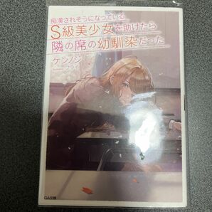 痴漢されそうになっているS級美少女を助けたら隣の席の幼馴染だった