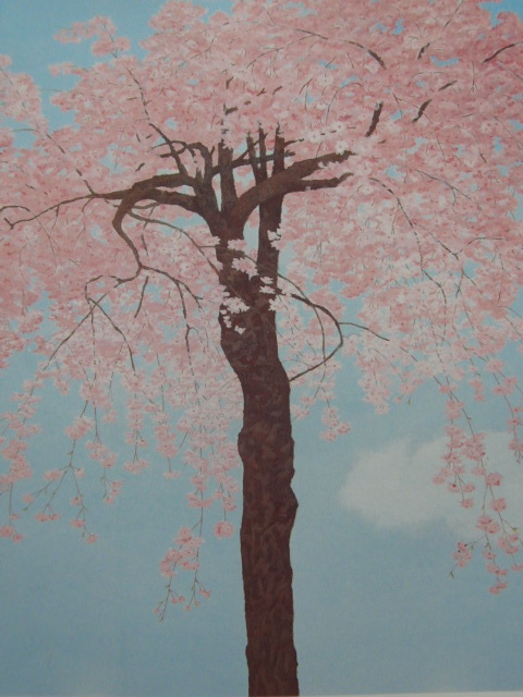 Akihisa Miwa, 【printemps】, Extrait d'un livre d'art rare, Bonne condition, Tout neuf, encadré de haute qualité, livraison gratuite, Tableau japonais fleurs de cerisier, peinture, peinture à l'huile, Nature, Peinture de paysage