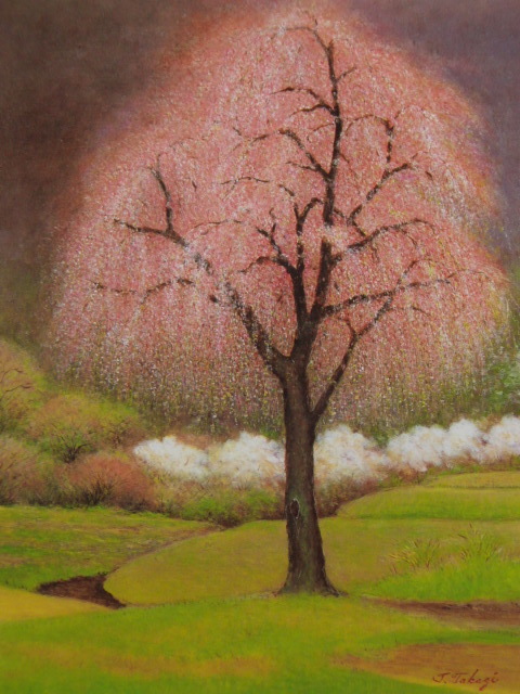 Toro Takagi, [Cereza llorona], De un libro de arte raro, En buena condición, Nuevo con marco de alta calidad., envío gratis, Cuadro japonés flor de cerezo., Cuadro, Pintura al óleo, Naturaleza, Pintura de paisaje