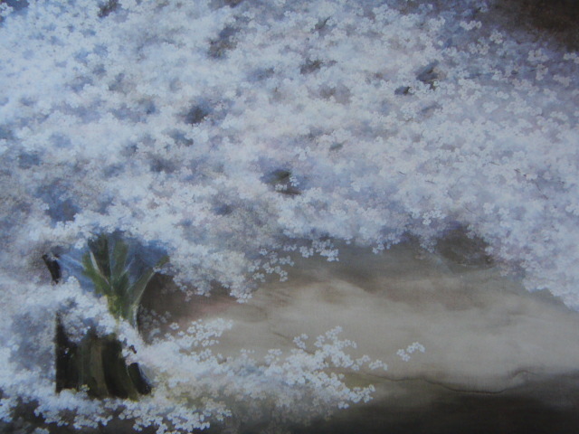 Natsuko Kishida, [Kirschblüten], Aus einem seltenen Kunstbuch, In guter Kondition, Nagelneu mit hochwertigem Rahmen, Kostenloser Versand, Japanische Malerei Kirschblüte, Malerei, Ölgemälde, Natur, Landschaftsmalerei