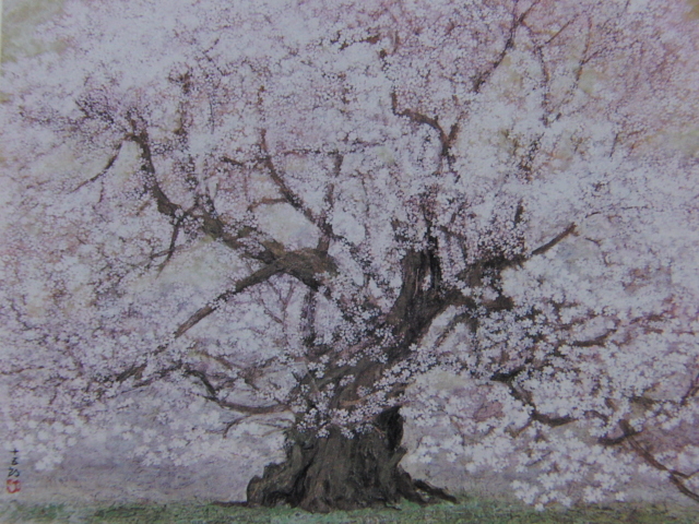 Ejiri Togoro, 【fleurs de cerisier】, Extrait d'un livre d'art rare, En bonne condition, Tout neuf avec un cadre de haute qualité, livraison gratuite, fleurs de cerisier, Peinture, Peinture à l'huile, Nature, Peinture de paysage
