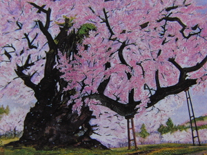 Art hand Auction Fresh water Imaizumi, [Old Cherry Tree], From a rare art book, In good condition, Brand new with high-quality frame, free shipping, Japanese painting cherry blossom, Painting, Oil painting, Nature, Landscape painting