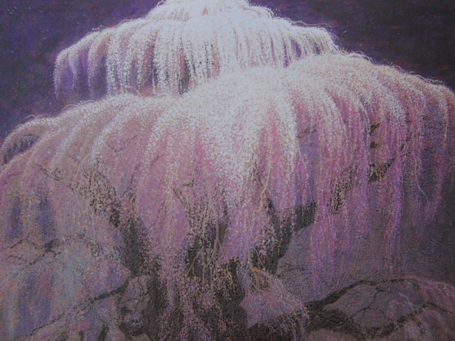 Hideki Hara, [Takizakura], Extrait d'un livre d'art rare, En bonne condition, Tout neuf avec un cadre de haute qualité, livraison gratuite, Tableau japonais fleur de cerisier, Peinture, Peinture à l'huile, Nature, Peinture de paysage