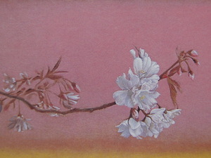 今関健司、【桜】、希少画集画より、状態良好、新品高級額装付、送料無料、日本画 　桜