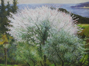 Art hand Auction Nobuo Yamashita, [Ushimado-Kirschblüten], Aus einem seltenen Kunstbuch, In guter Kondition, Nagelneu mit hochwertigem Rahmen, Kostenloser Versand, Japanische Malerei Kirschblüte, Malerei, Ölgemälde, Natur, Landschaftsmalerei