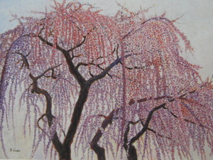 Art hand Auction 遠藤義美, 【しだれ桜】, 希少画集画より, 状態良好, 新品高級額装付, 送料無料, 日本画 桜, 絵画, 油彩, 自然, 風景画