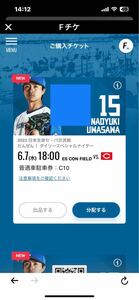 [6 month 7 day ]es navy blue field Hokkaido Hokkaido Nippon-Ham Fighters against Hiroshima Toyo Carp C10 normal car parking ticket 6/7 day ham 