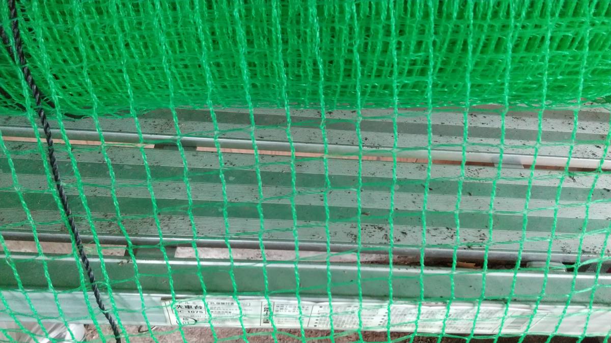 防除ネット【幅2m×長さ4m】 防鳥 鳥よけ 網 ネット ゴミ ごみ カラスよ