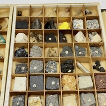 古い鉱物標本 96種 岩石 化石 鉱物 詳細不明 現状品 B1446_画像7