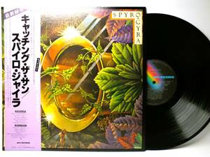 LP VIM-6220 SPYRO GYRA スパイロ・ジャイラ　CATCHING THE SUN 【8商品以上同梱で送料無料】