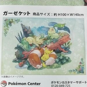 オオタチ　ガーゼケット　もりのおくりもの　ポケモン　リーフィア　チコリータ　ピカチュウ　ポケモンセンター　タオルケット　イーブイ