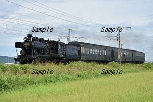 【鉄道写真】JR九州　SL人吉　8600形58654 ＠松橋～小川　L版　(商品番号359)