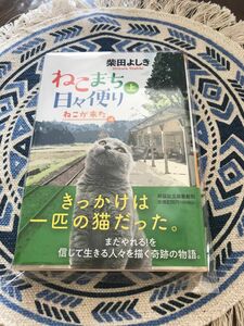 ねこまち日々便り　上 （祥伝社文庫　し１０－１３） 柴田よしき／著