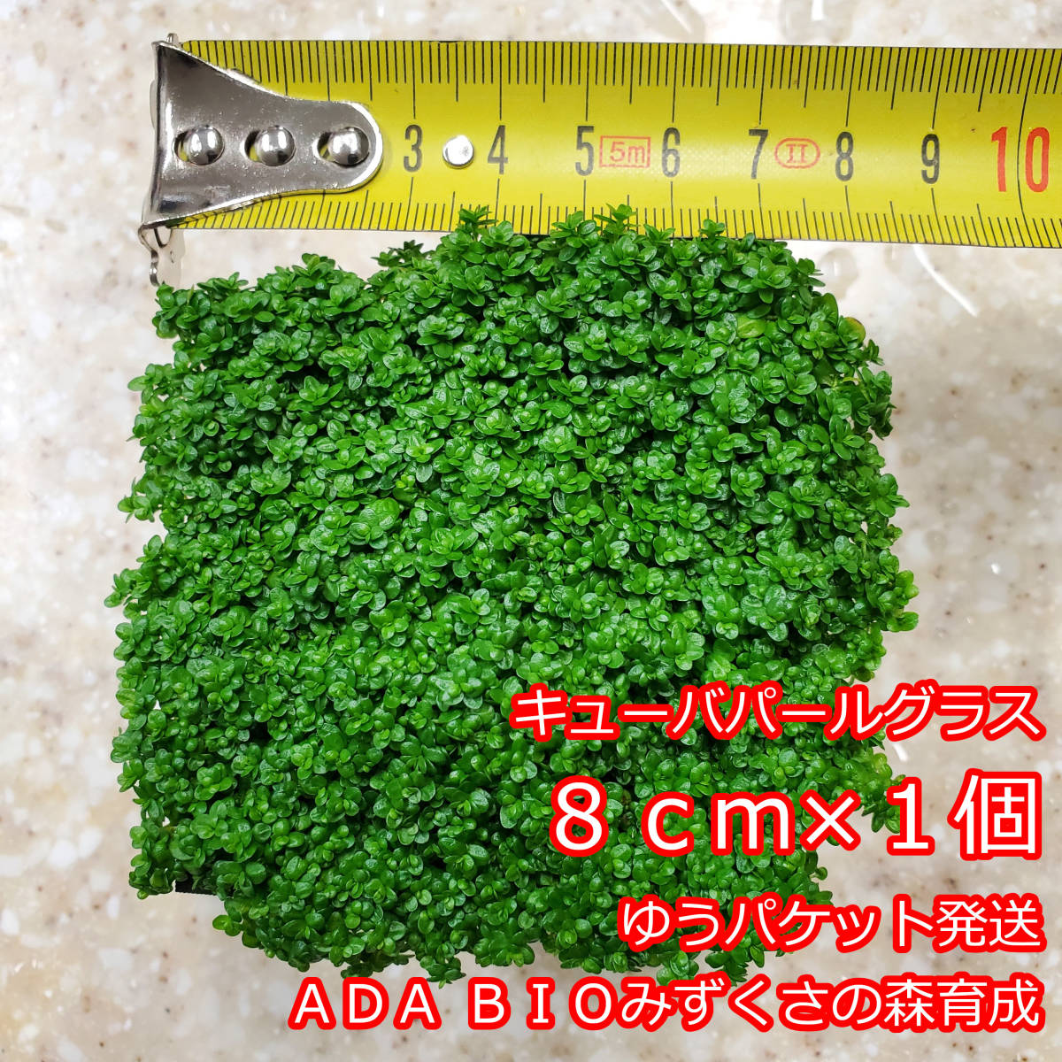 横手―湯田通行止め解除 ADAみずくさの森冷蔵庫【非売品