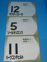 匿名送料無料★第90回 日本ダービー タスティエーラ ソールオリエンス ハーツコンチェルト ミニゼッケン 3枚セット 東京競馬場 限定 即決！_画像1