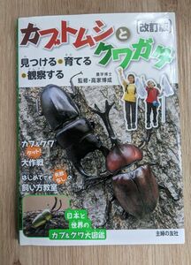 カブトムシとクワガタ　見つける・育てる・観察する 