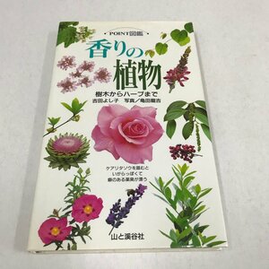 NA/L/POINT図鑑 香りの植物 樹木からハーブまで/著:吉田よし子/写真:亀田龍吉/山と渓谷社/2000年4月30日初版発行