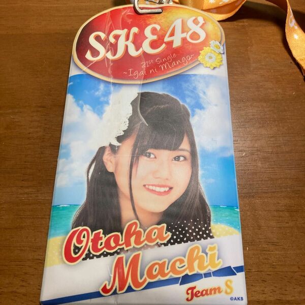 SKE 48写真カードチケット入れ