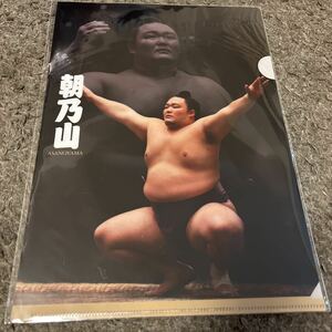 朝乃山　大相撲　A4クリアファイル