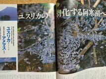 フライフィッシャー NO.78 2000年7月号 ローソンズ・パラドレイクの思想 エクステンデッドボディーのタイイング つり人社 FlyFisher_画像7