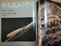 フライフィッシャー NO.59 1998年12月号 ◇ オフに際立つ管理釣り場 その気にさせるフィールドファイル ◇ つり人社 FlyFisher_画像9