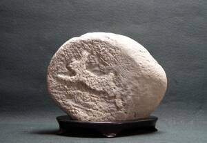  appreciation stone . rabbit . main . pattern stone raw ore suiseki st nature stone tray stone decoration stone .....*.. stone .. ornament 