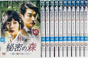 秘密の森　深い闇の向こうに　全12巻　レンタル版DVD 全巻セット　韓国ドラマ