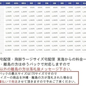 【HW7-61】【80サイズ】NEOGEO mini 本体 サムライスピリッツ限定版セット/覇王丸 サムスピ ネオジオ/動作未確認/通電可の画像10