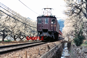青梅線 石灰石列車 ED16 12 1981年 6000×4000PX 19.2MB ピント精度:並 劣化有 F0141