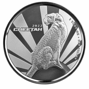 [ written guarantee * capsule with a self-starter ] 2022 year ( new goods ) turtle Rune [chi-ta-] original silver 1 ounce silver coin 