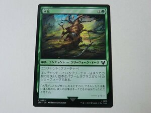 MTG 美品 【木化】 （コモン） 指輪物語：中つ国の伝承 LTC 日 8枚迄