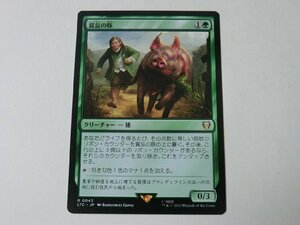 MTG 美品 【賞品の豚】 （レア） 指輪物語：中つ国の伝承 LTC 日 9枚迄