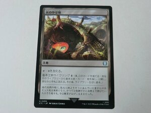 MTG 美品 【灰のやせ地】 （アンコモン） 指輪物語：中つ国の伝承 LTC 日 9枚迄