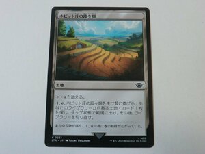 MTG 美品 【ホビット庄の段々畑】 （コモン） 指輪物語：中つ国の伝承 LTR 日 9枚迄