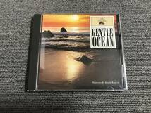 GENTLE OCEAN / ENVIRONMENTAL SOUNDS / PRODUCED BY BERNIE KRAUSE■海/浜辺/波の音■型番:NC-22702■AZ-2365_画像1