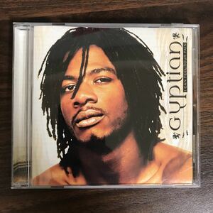 (381)中古CD100円 Gyptian I Can Feel Your Pain