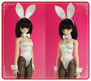* DD M. for * satin bunny girl costume set w *