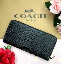 COACHコーチ　長財布　大人気パイソン柄　ブラック　新品_画像2