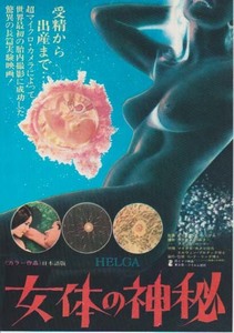 映画チラシ「女体の神秘」(1982)　