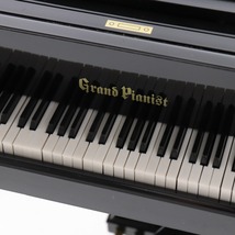 ■ SEGA TOYS セガトイズ Grand Pianist グランドピアニスト トイピアノ ミニチュアピアノ 通電確認済み_画像5