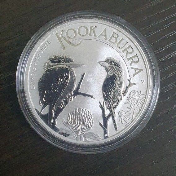 全てのアイテム 1999年オーストラリア カワセミ 銀貨 1919年スクエア