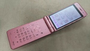 docomo FOMA P-01F ＃DG4524 Panasonic パナソニック ガラケー ケータイ 折畳式 簡易動作確認＆簡易清掃＆初期化OK 判定○ 送料無料　