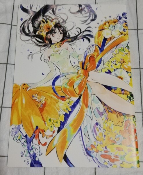 海島千本 フルカラーイラスト集 2016 illustrations うなぎ新鮮