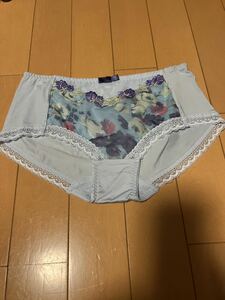 triumph トリンプ ショーツ　 水色紫刺繍　未使用タグ無しです。 Mヒップハング 