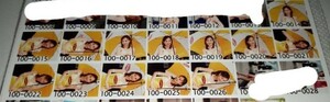 新田涼子　写真　Lサイズ　13枚　2000年　Lipton　レースクイーン