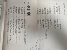 現代詩手帖 1982.5 少年愛/糸井茂莉/高橋康也/高橋睦郎/中井英夫/河村錠一郎/成瀬駒男/白石公子/橋本治/鮎川信夫/石毛拓郎/大岡信/B3222317_画像2