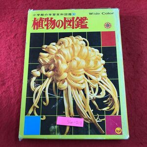 S6e-213 植物の図鑑 小学館の学習百科図鑑 1 昭和56年3月1日 第28刷発行 小学館 図鑑 植物 花 春夏秋冬 チューリップ アサガオ イチョウ