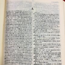 S6e-269 岩波 ロシヤ語辞典 増訂版 著者 八杉貞利 1976年2月25日 第14刷発行 岩波書店 ロシア語 日本語 語学 学習 辞典 発音 名詞 動詞_画像5