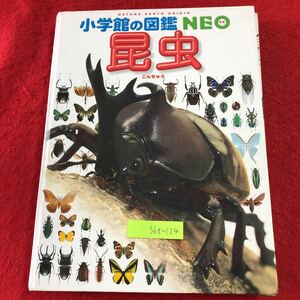 S6f-124 昆虫 小学館の図鑑 NEO 3 2005年7月10日 初版第10刷発行 小学館 図鑑 カブトムシ キリギリス チョウ トンボ コウチュウ クモ