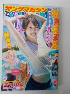 BW21742 ヤングマガジン 2021.9.27 No.42 牧野真莉愛 桜井木穂 ギャルせん MFゴースト ザ・ファブル カイジ ムムリン パラレルパラダイス